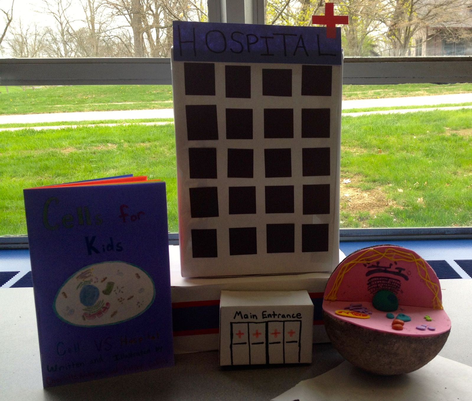 Lesson Cell Organelle Children's Book Project BetterLesson