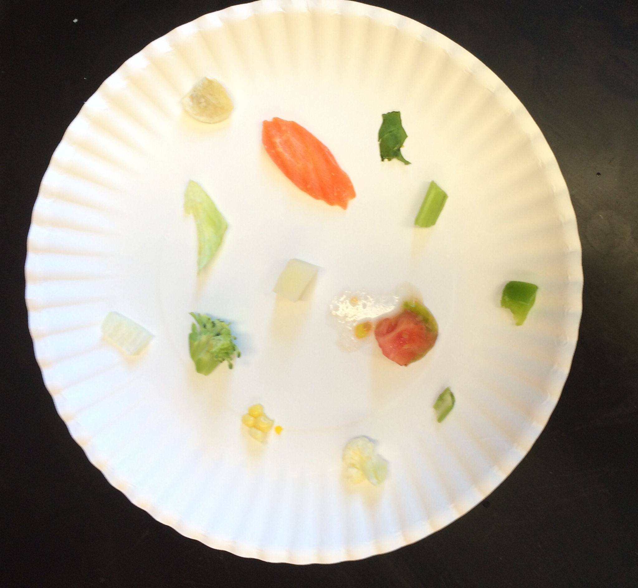 Lesson Plant Specialization Which Organs Store Food?
