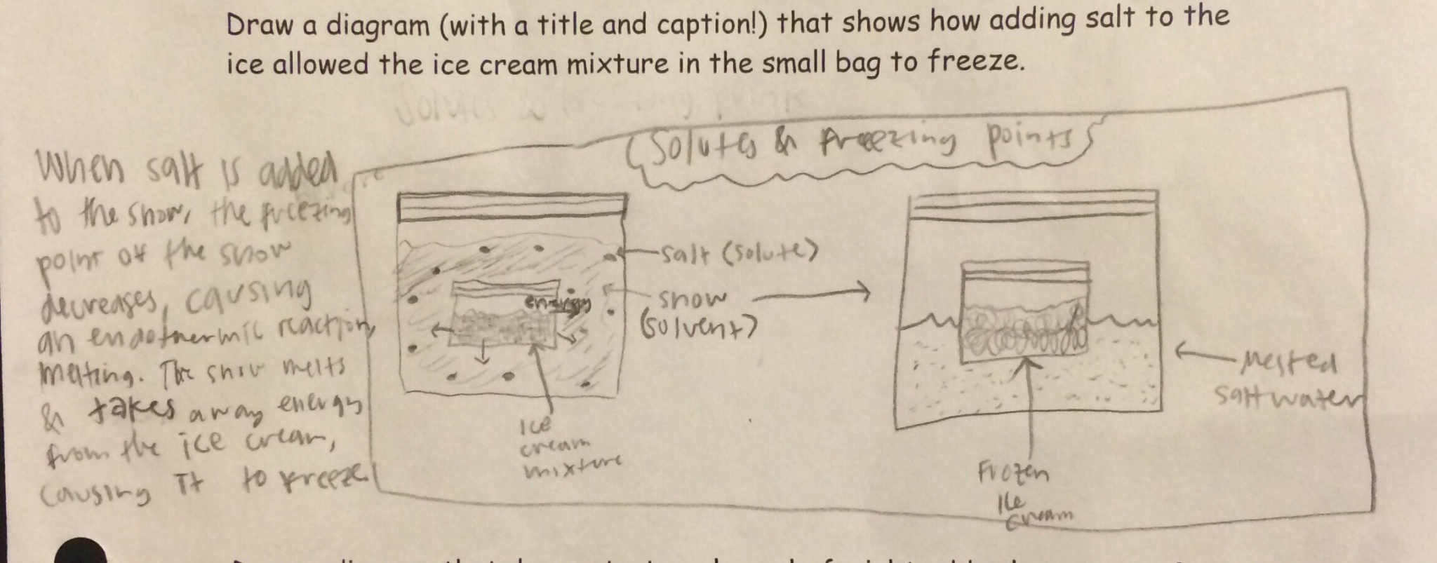 Lesson Sugar, Solutes...Satisfaction! BetterLesson