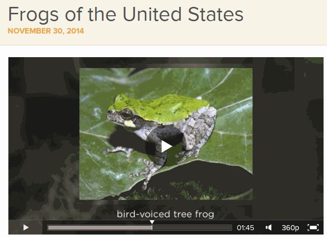 Third grade Lesson If Frogs Need Water, Why Do They Want to Live in the