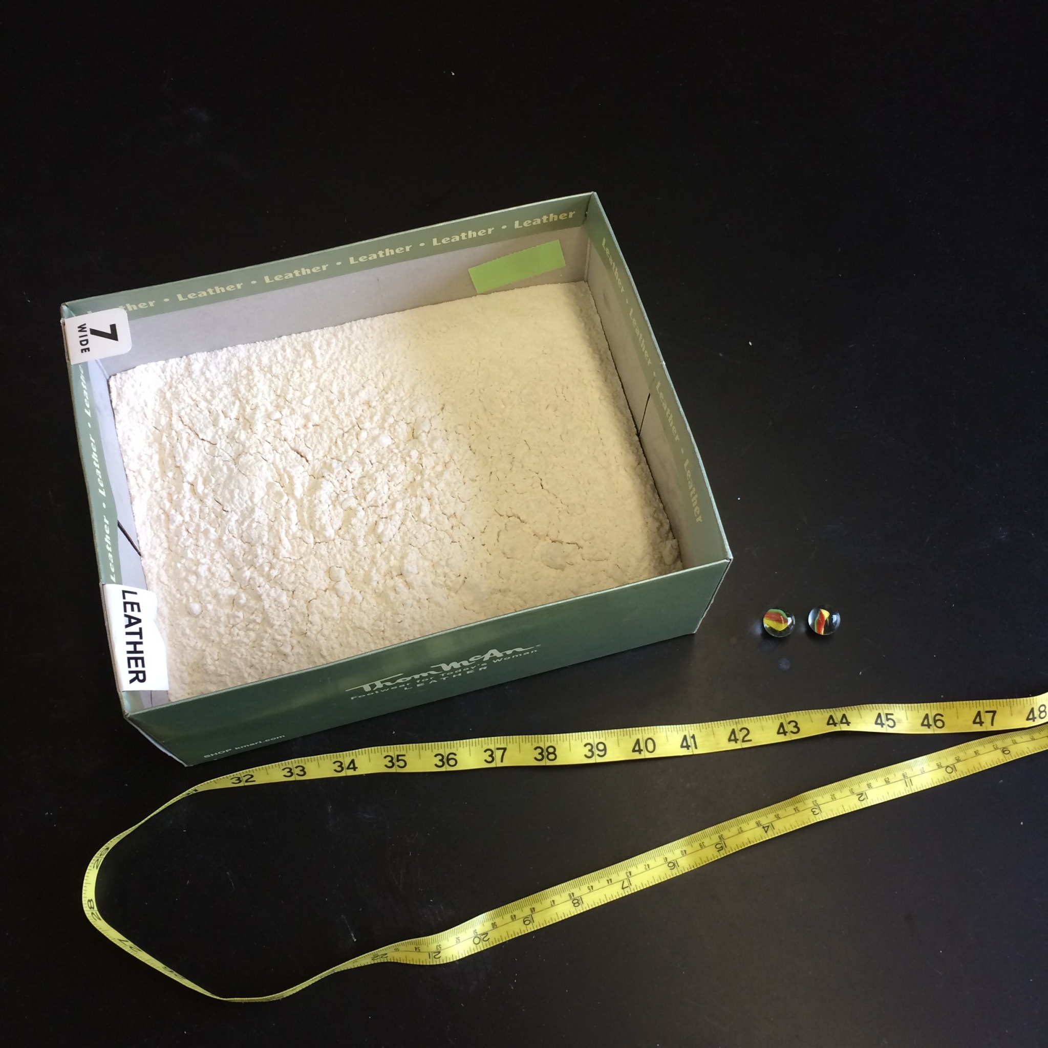 Lesson and Potential Energy Lab Rotation BetterLesson