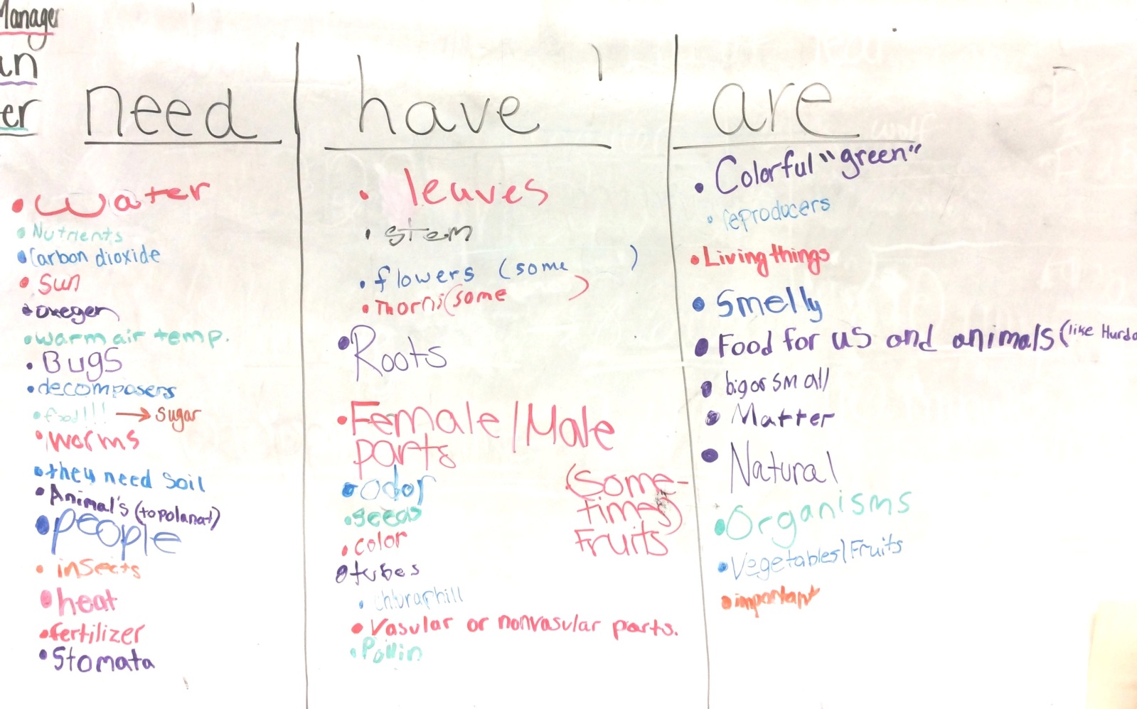 Lesson Day 1 What do plants really need? BetterLesson