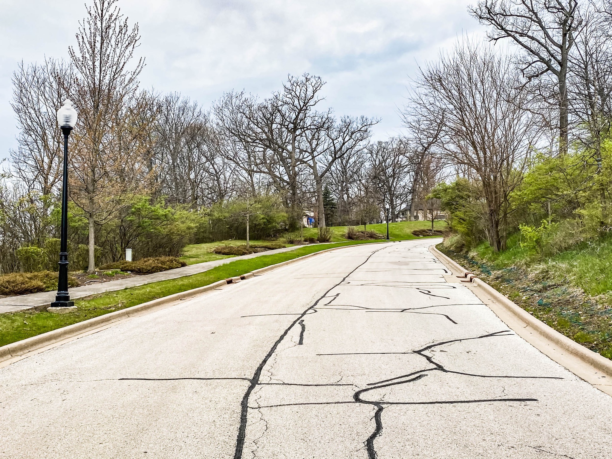 Oak Bluff Estates in Lemont DJK Custom Homes