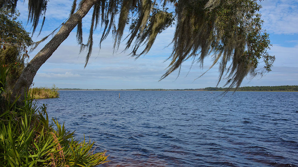 Cross Creek New Homes for Sale in Parrish, FL