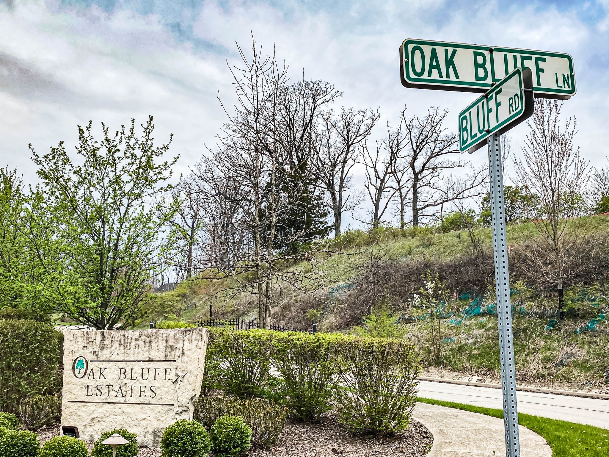 Oak Bluff Estates in Lemont DJK Custom Homes