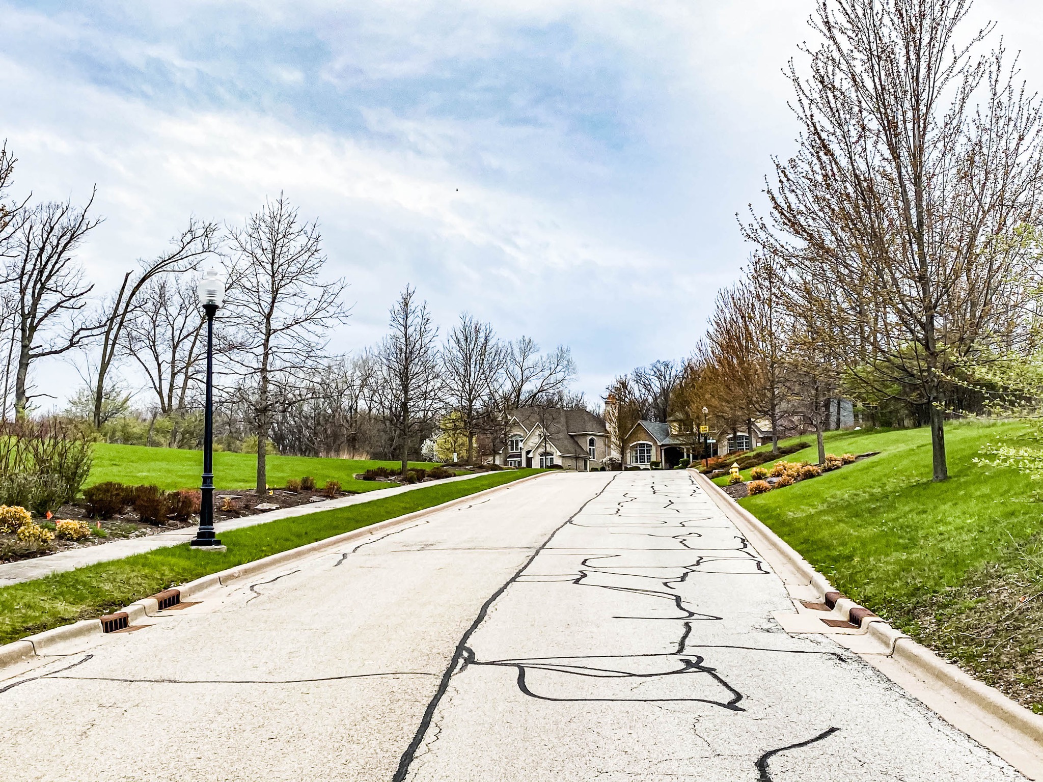 Oak Bluff Estates in Lemont DJK Custom Homes