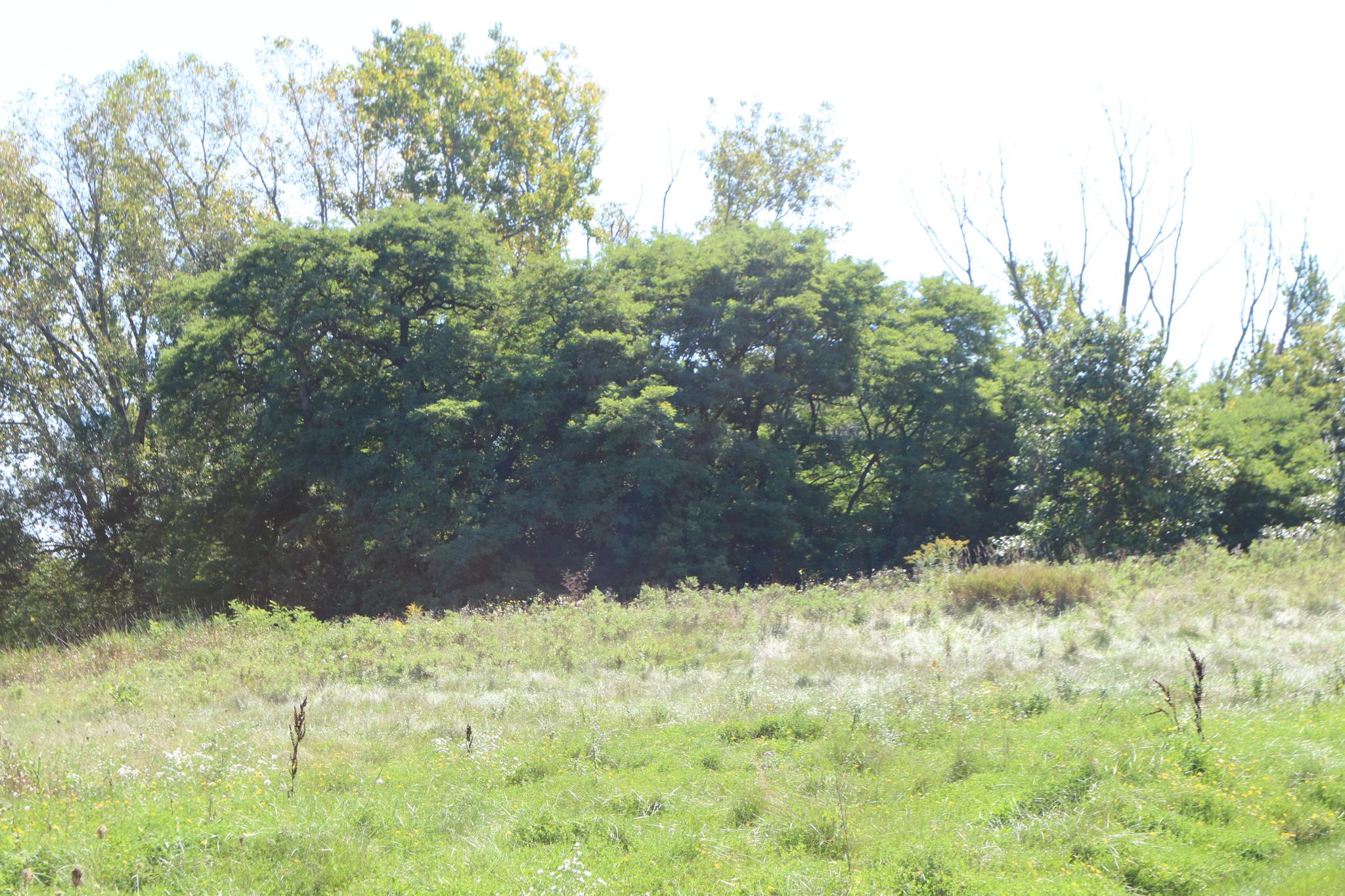 Auburn Hills New Home Community in Caledonia Korndoerfer