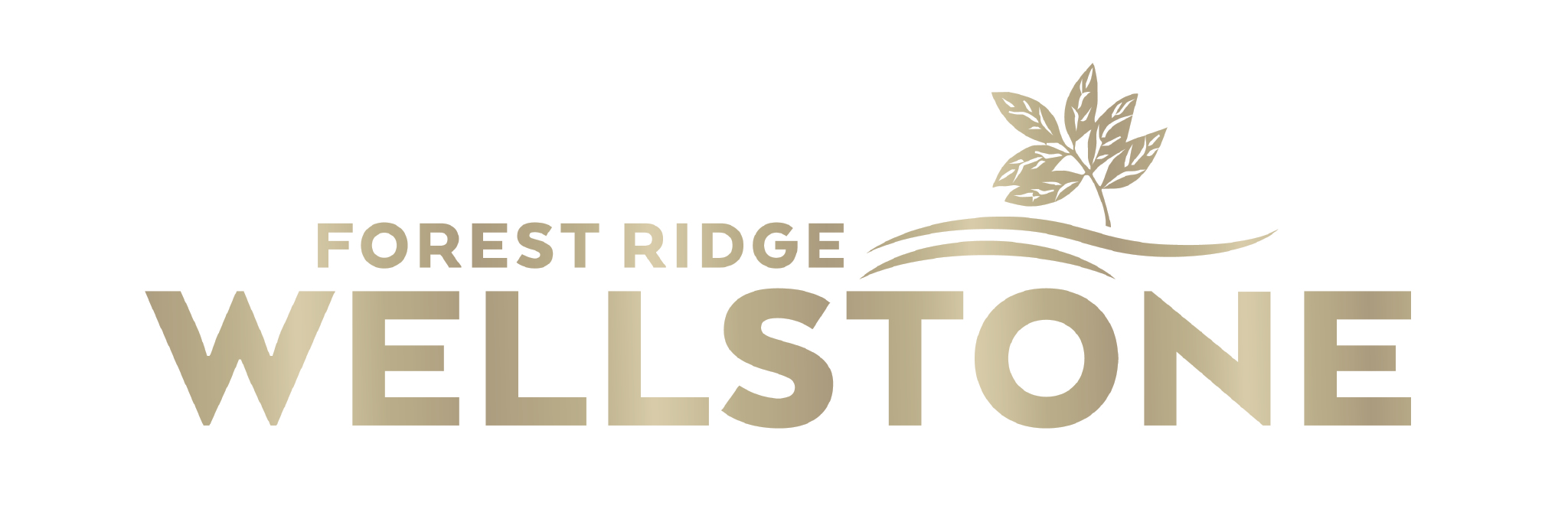 Wellstone Broken Arrow New Home Community Forest Ridge