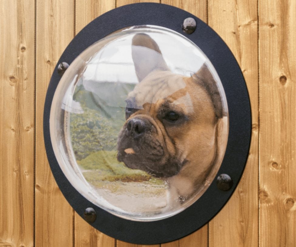 5 home features every pet owner needs Jerry's Homes