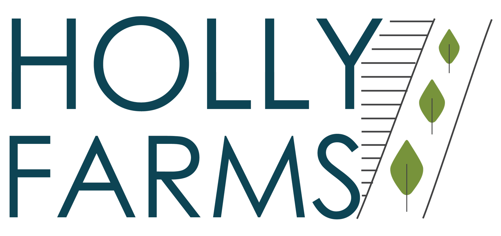 Holly Farms New Homes in Kansas City Summit Homes KC