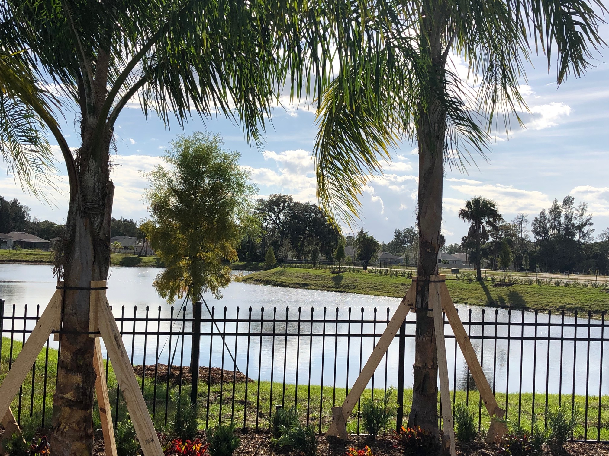 Olive Garden West Melbourne Fl Hampton Inn & Suites West Melbourne