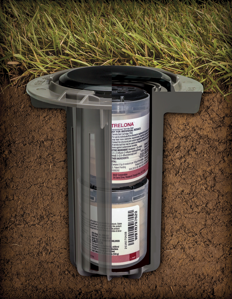 Protecting your home with a Termite Bait Station system Homes By Taber