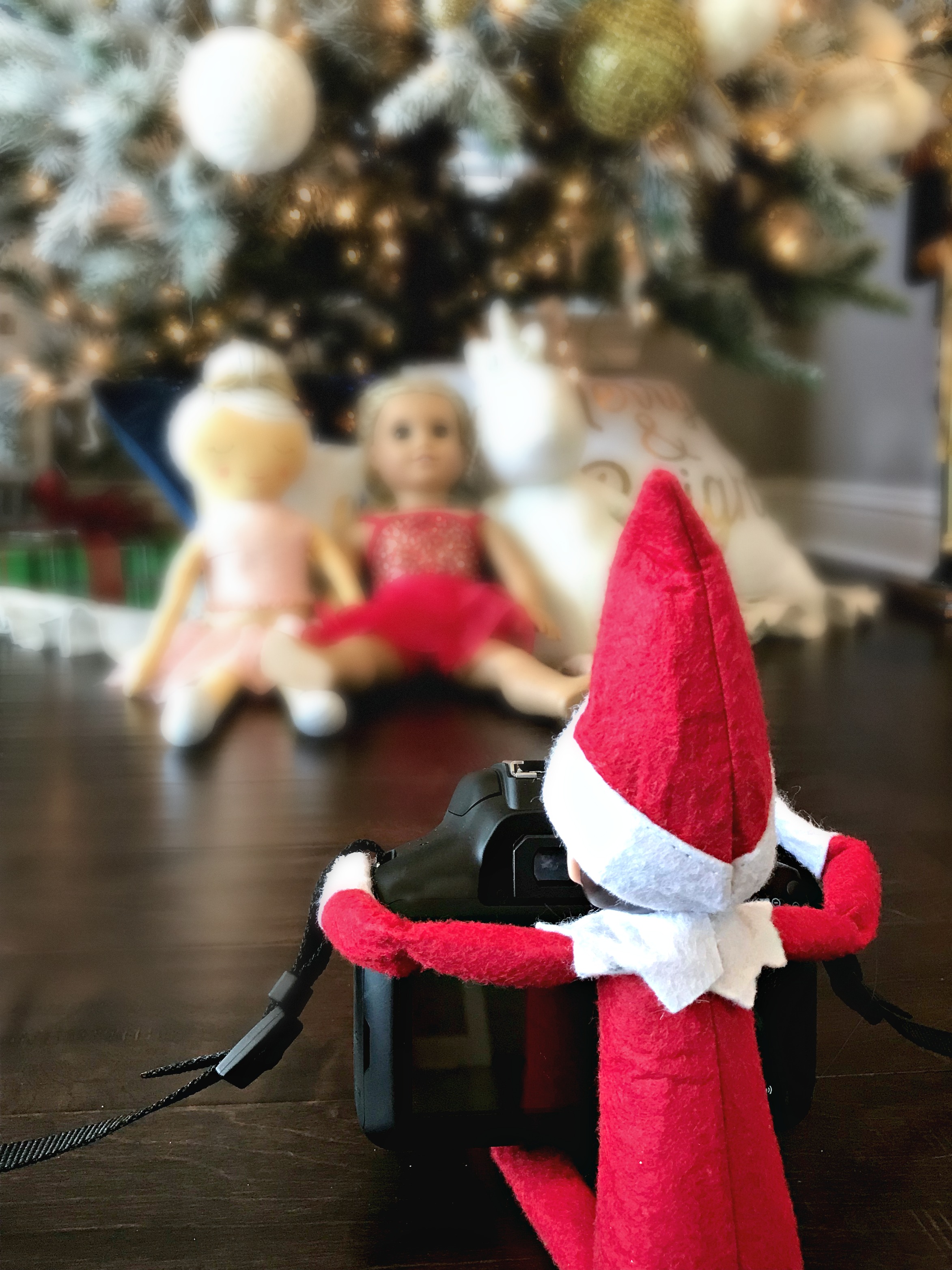 10 Elf on the Shelf Ideas to Try This Year DSLD Homes