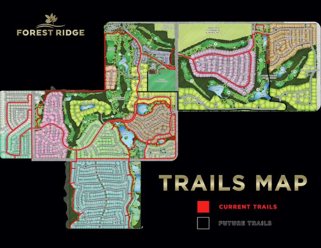 Overview Forest Ridge
