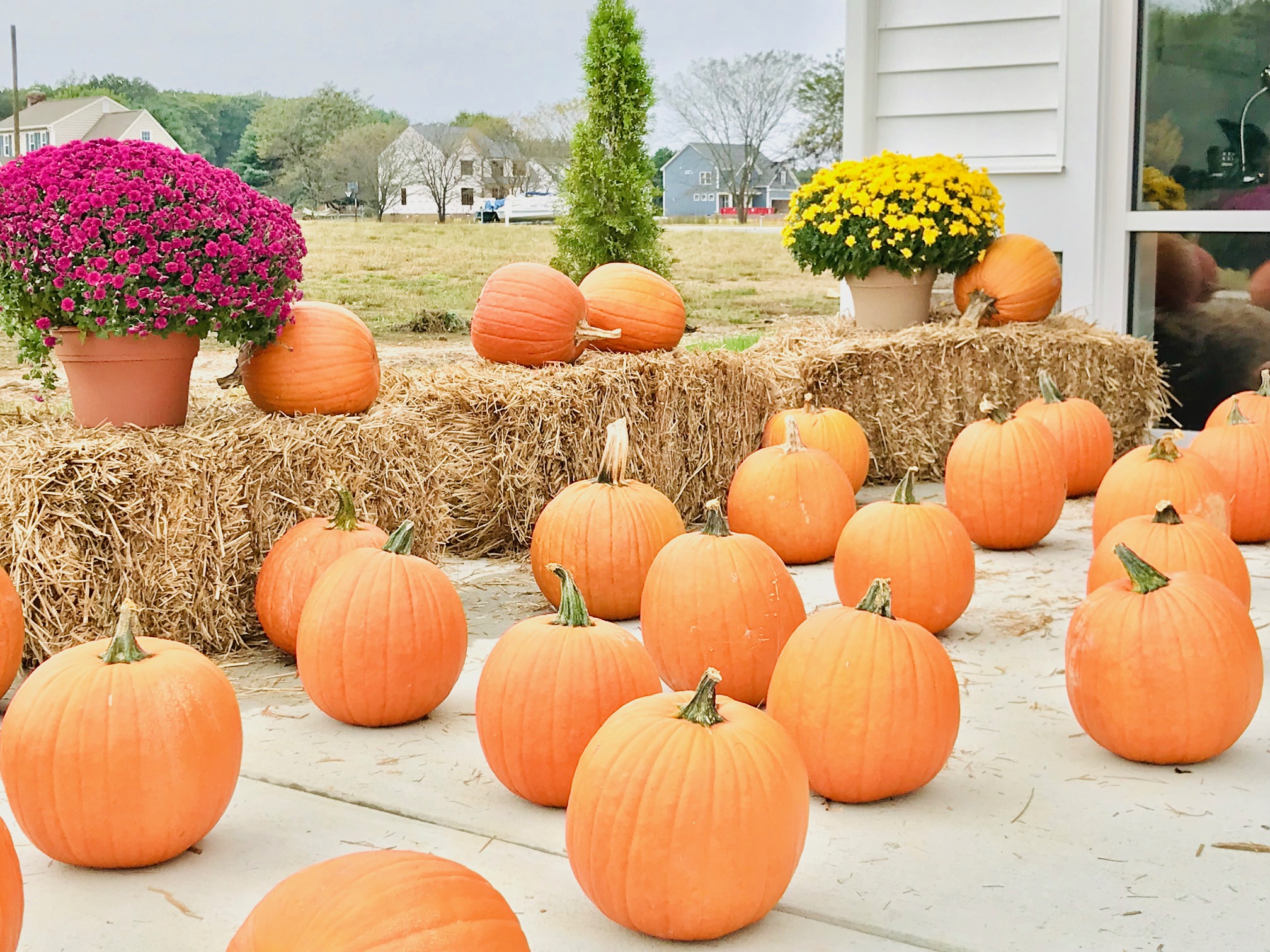 News & Updates Main Street Homes