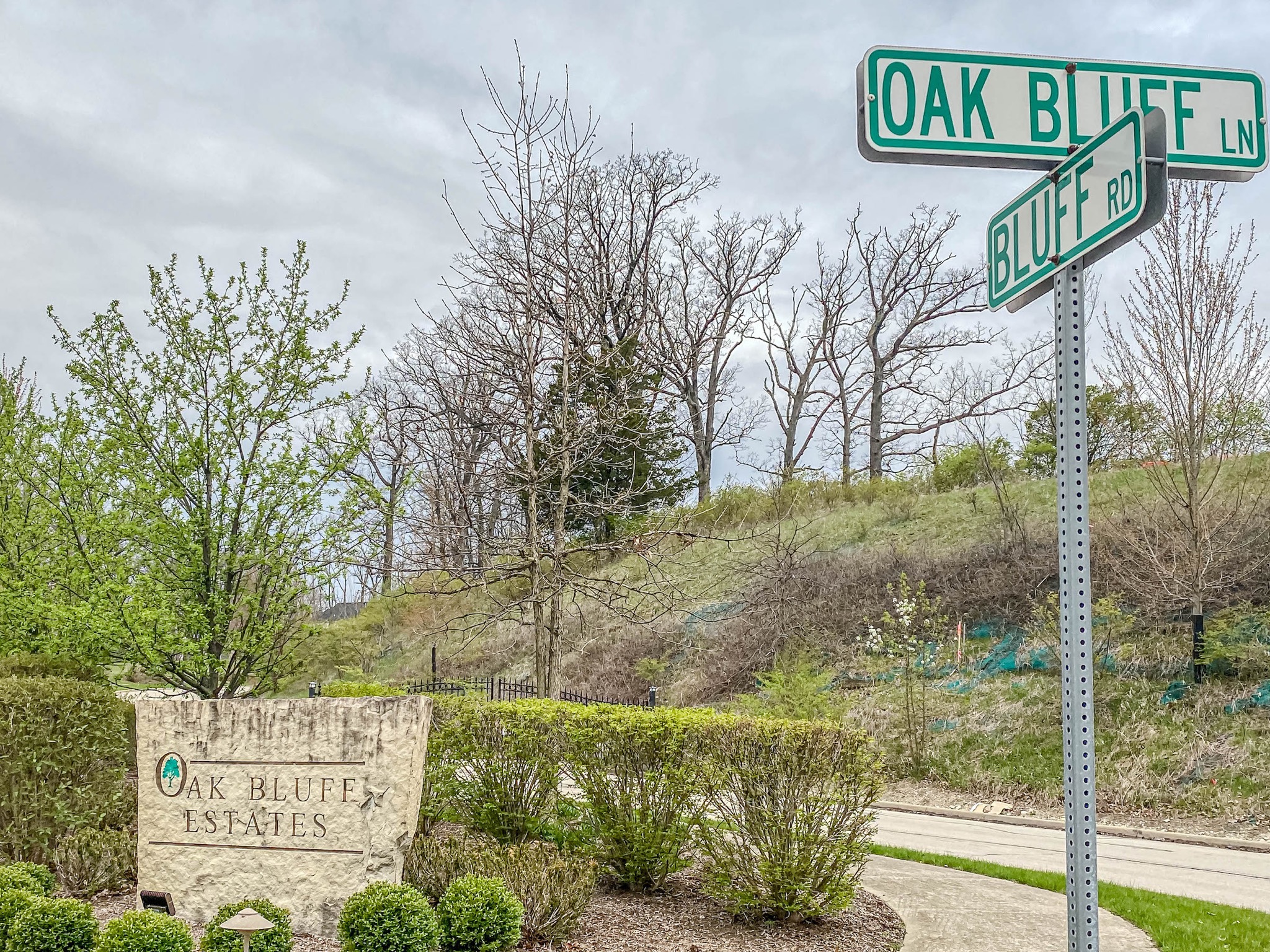Oak Bluff Estates in Lemont DJK Custom Homes