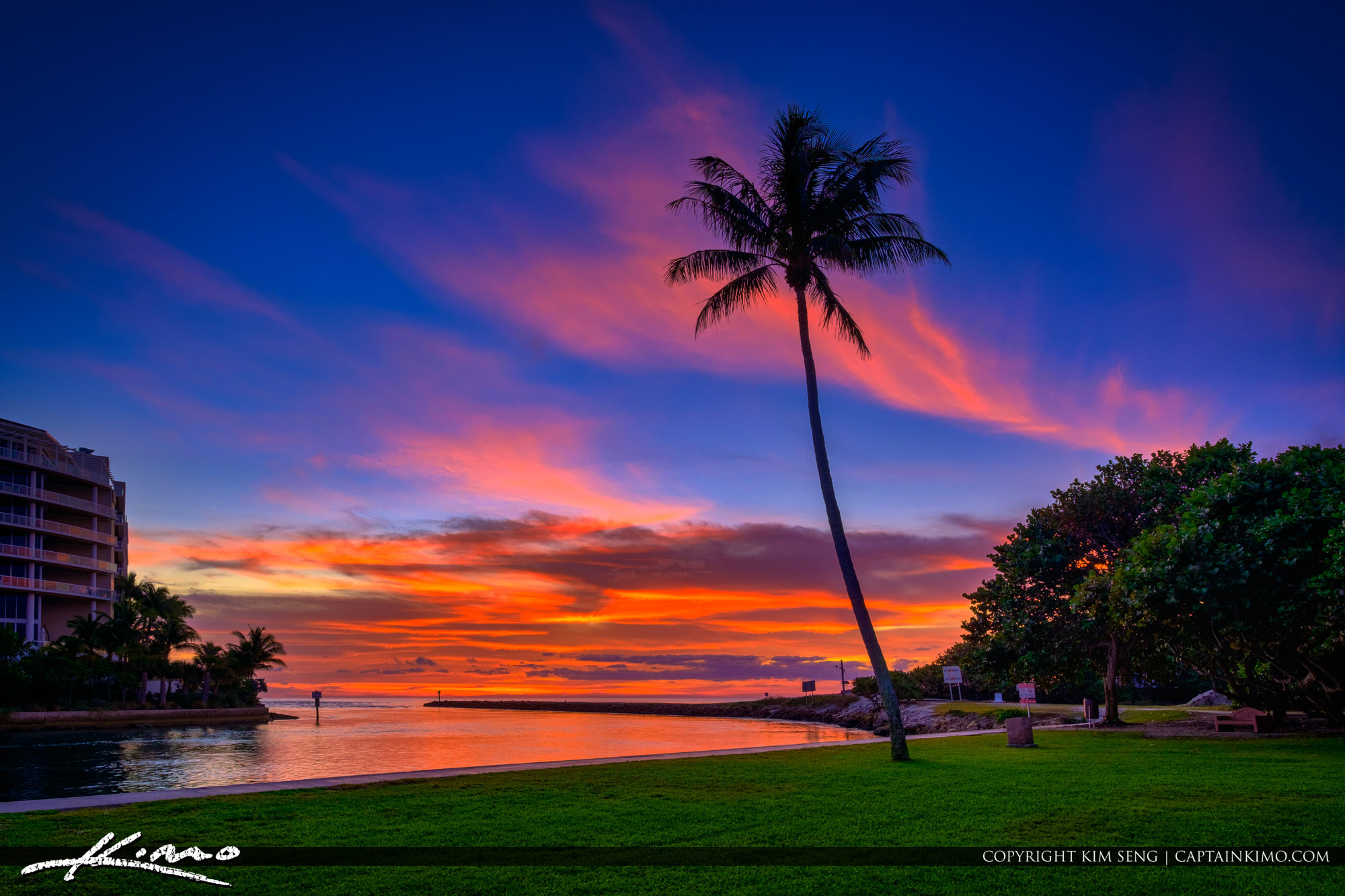 South Inlet Park Coconut Tree at Boca Raton Inlet Florida HDR