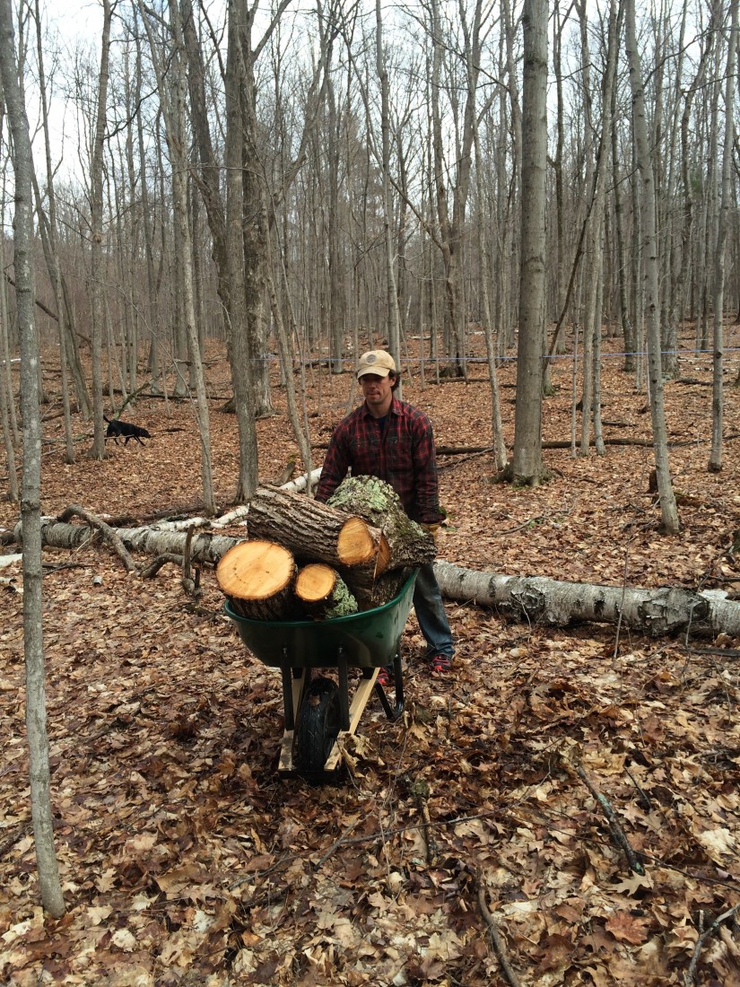 Office Hours · Castleton University