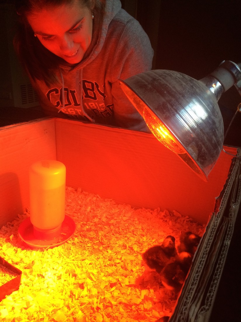 Office Hours · Castleton University