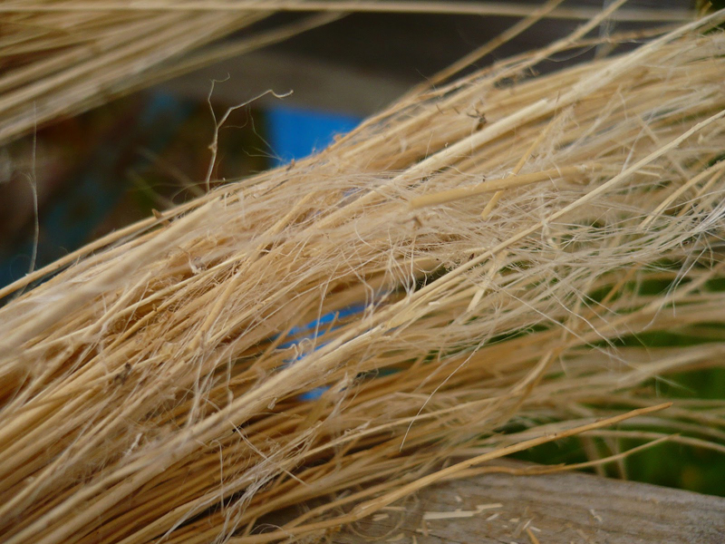 Fibra di lino un isolante organico per tetti, pareti e solai