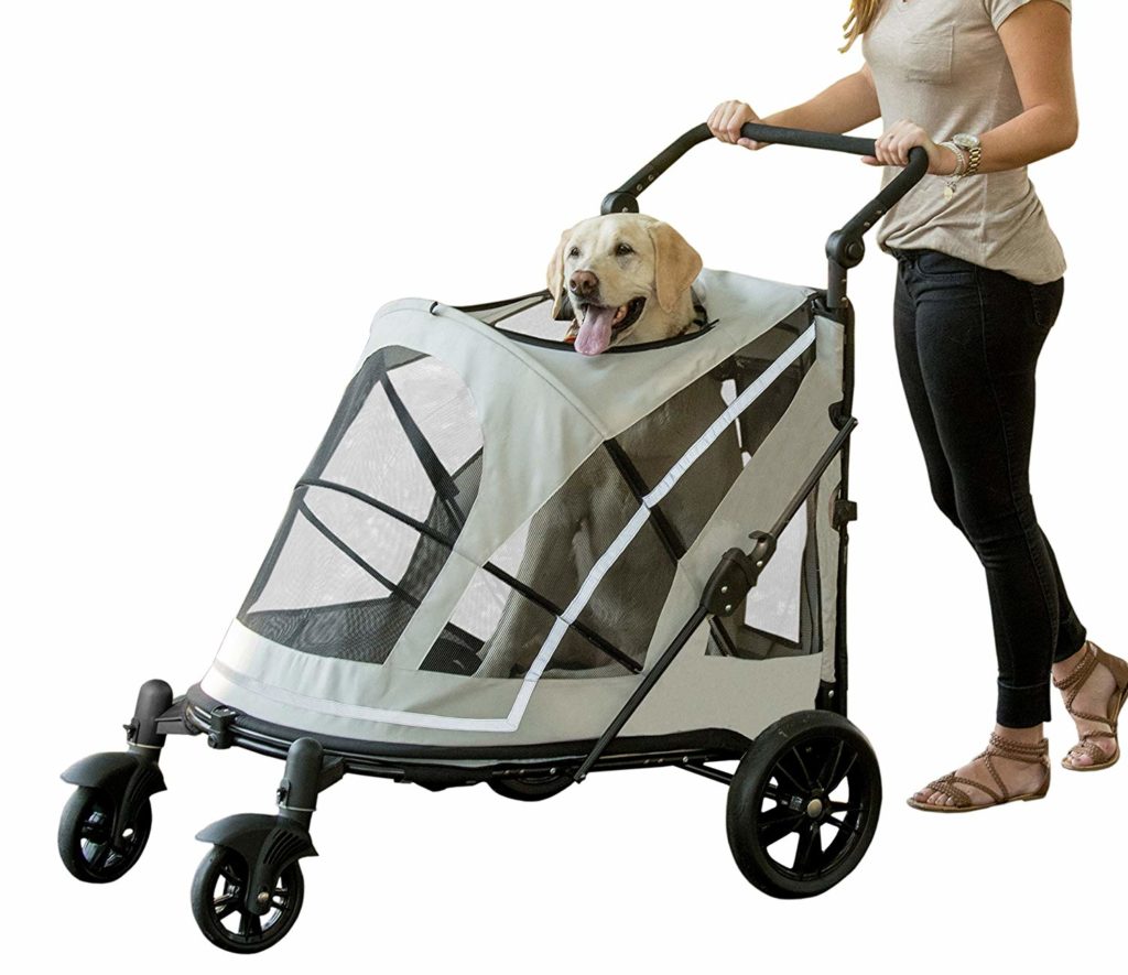 Dog Stroller Shopping Guide Our Picks for Small and Large Pets