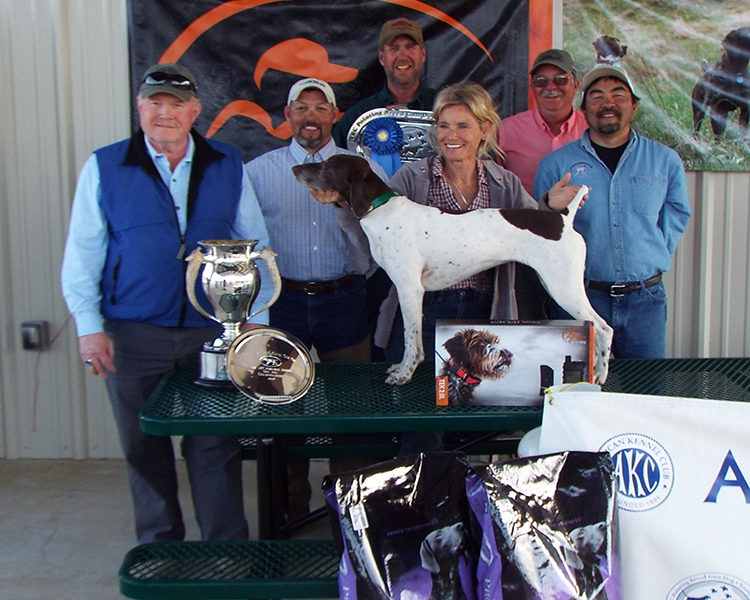 Pointing Breeds Field Trials Wall Of Fame American Kennel Club
