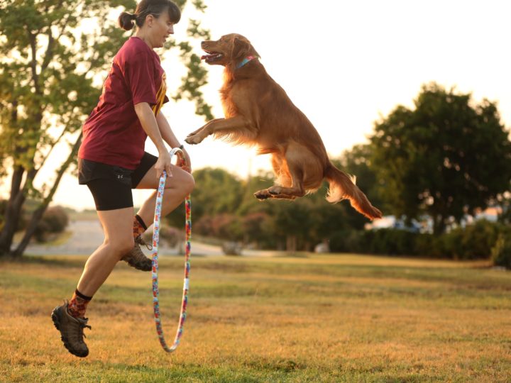 These AKC Trick Dog Performers Know the Benefits of Trick Training