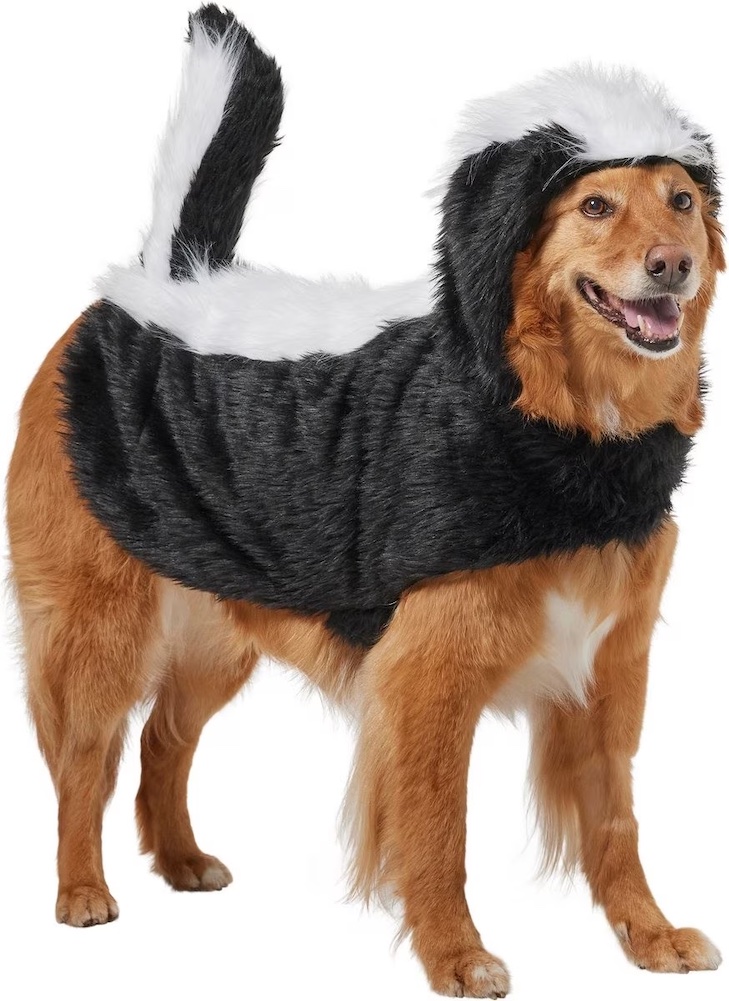 10 Best Halloween Dog Costumes for a Safe Fall Celebration