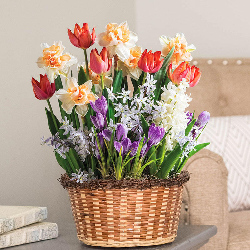 Mixed Spring Bulb Garden