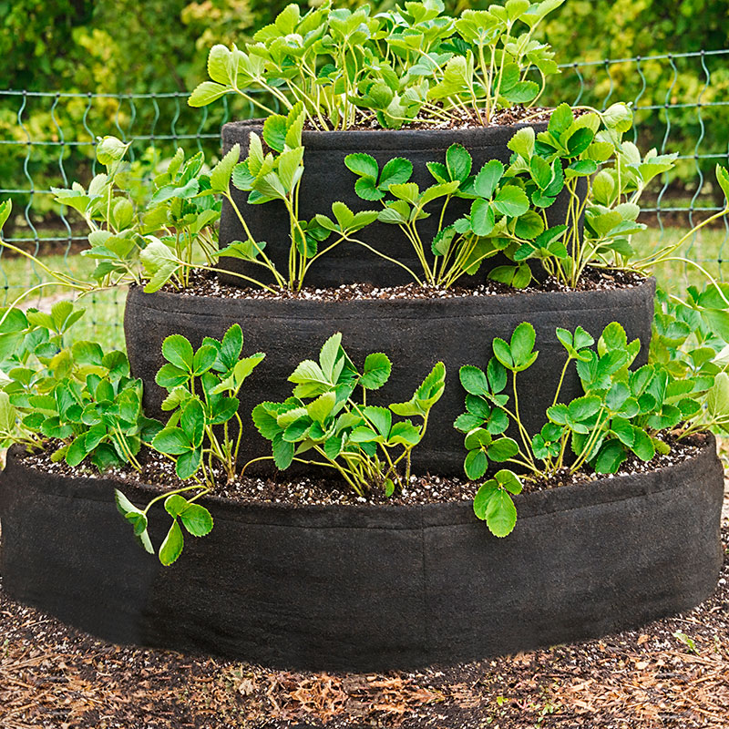 Grow Tub® Tiered Strawberry Planter Raised Beds from Gardens Alive!