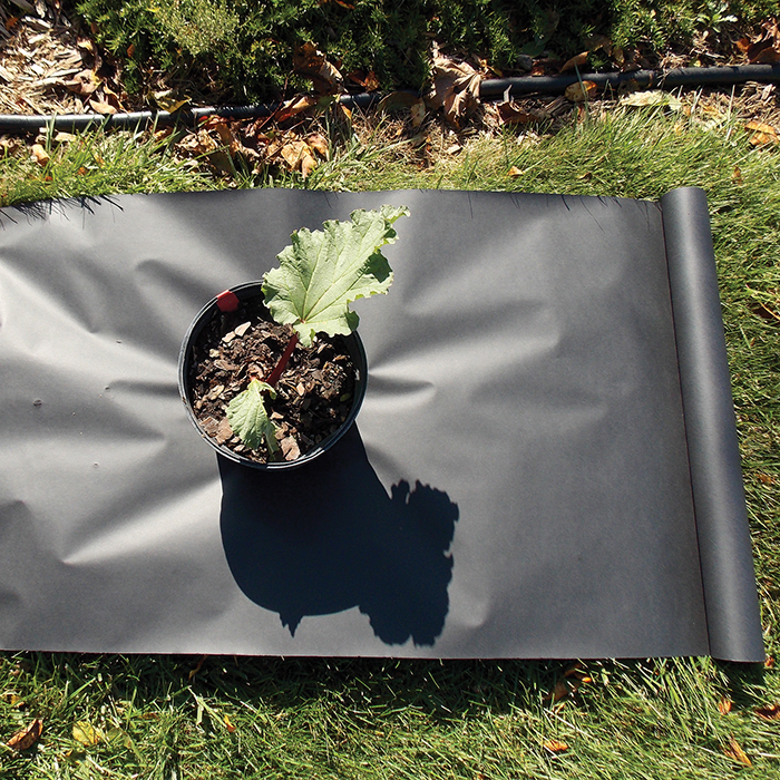 Planters Paper (2 X 50), Plant Protectors Vermont Bean Seed Company