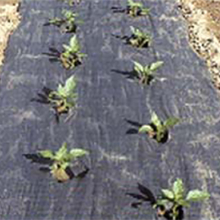 Inspiration Planters Paper Mulch References