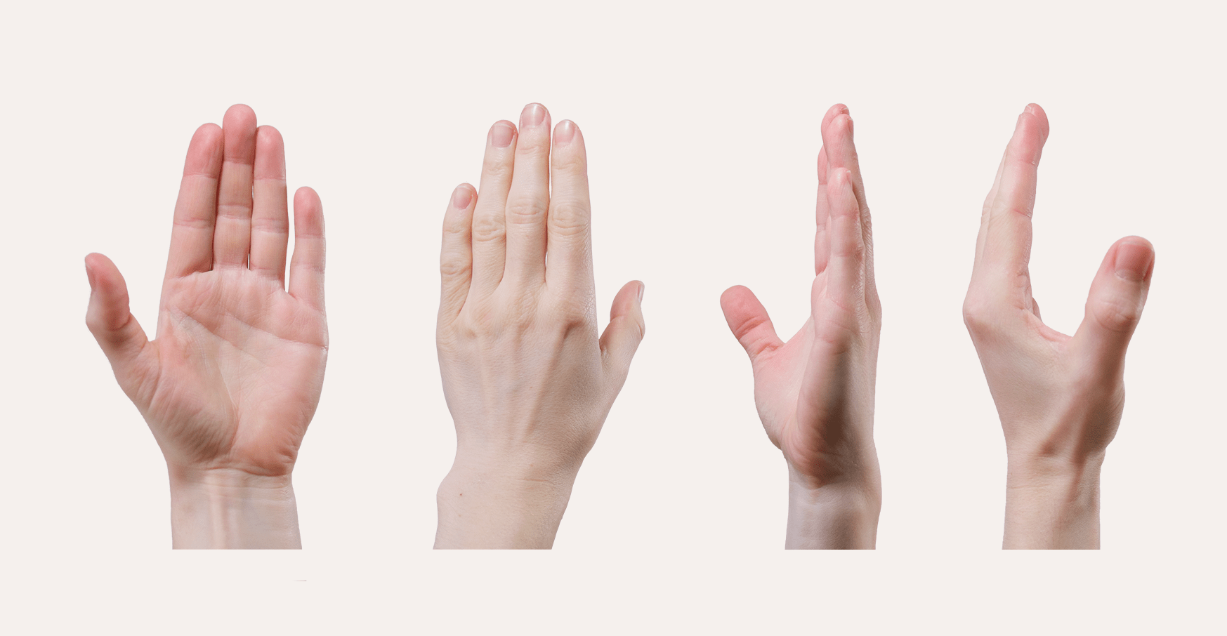 Sculpting the Human Hand CG Cookie