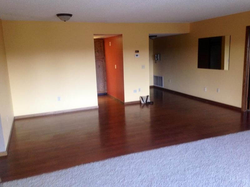 Before and After Lumber Liquidators