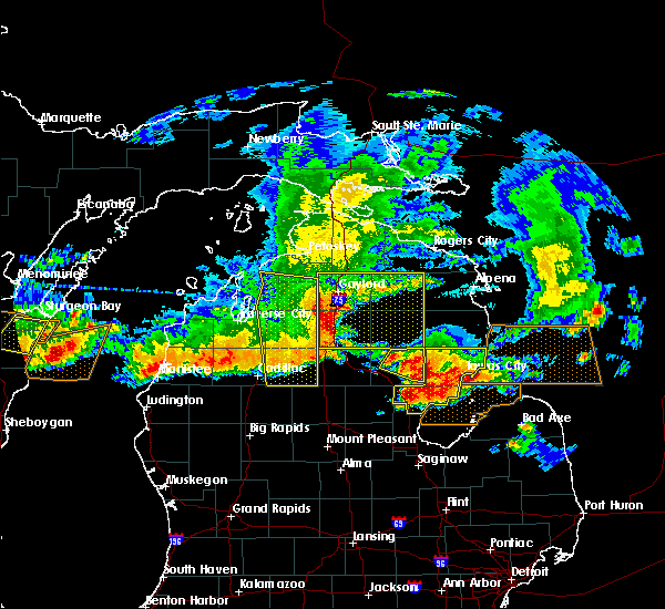 Interactive Hail Maps Hail Map for Rose City, MI