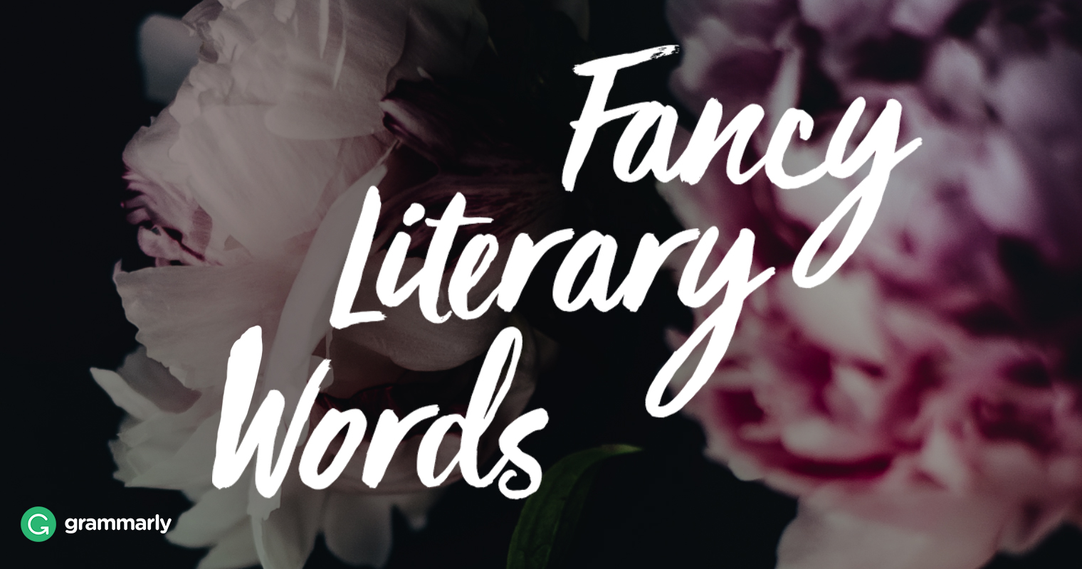 Fancy Literary Terms Seo Land