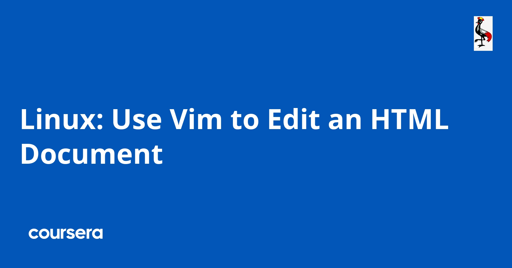 Linux Use Vim to Edit an HTML Document