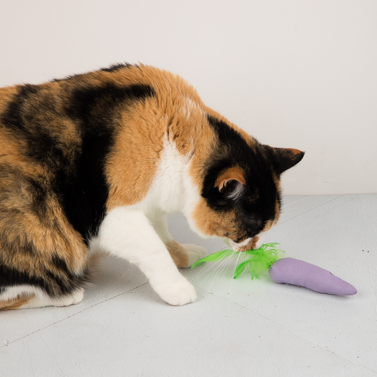 Crazy Purrrrple Carrot Catnip Toy