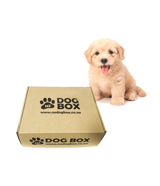 NZ DOG BOX Shop/Product