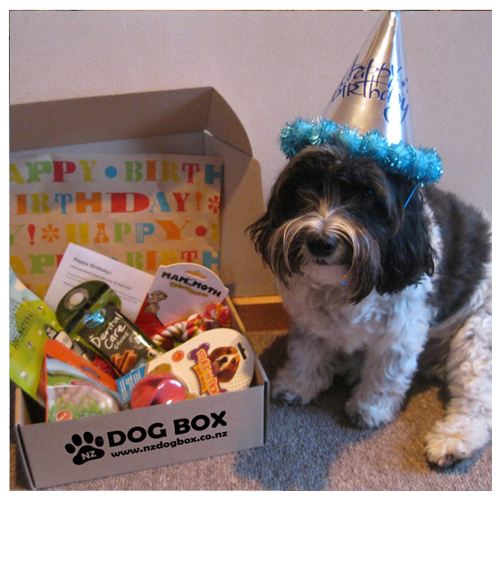 NZ DOG BOX Shop/Product