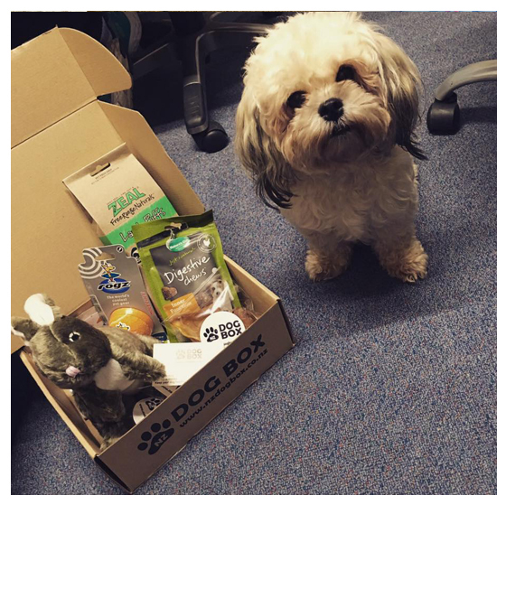 NZ DOG BOX Shop/Product