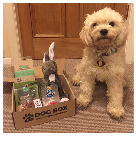 NZ DOG BOX Shop/Product