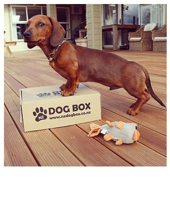 NZ DOG BOX Shop/Product