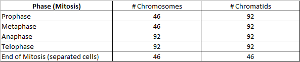 Chromosome and Chromatid Numbers during Mitosis and Meiosis DAT Bootcamp