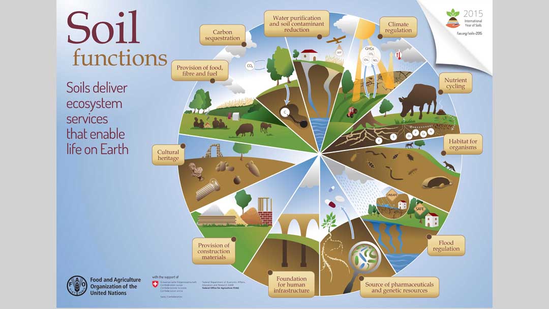 Why is healthy soil important?