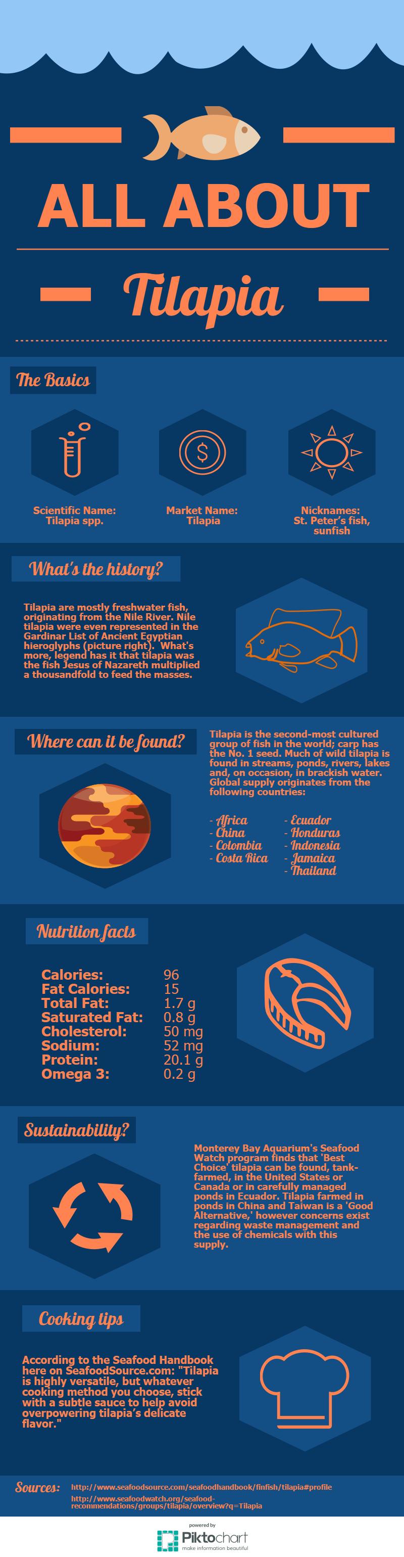 Infographic All about tilapia SeafoodSource