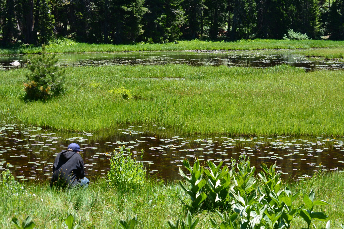 Frog Pond Trail, Oregon Drone Recovery