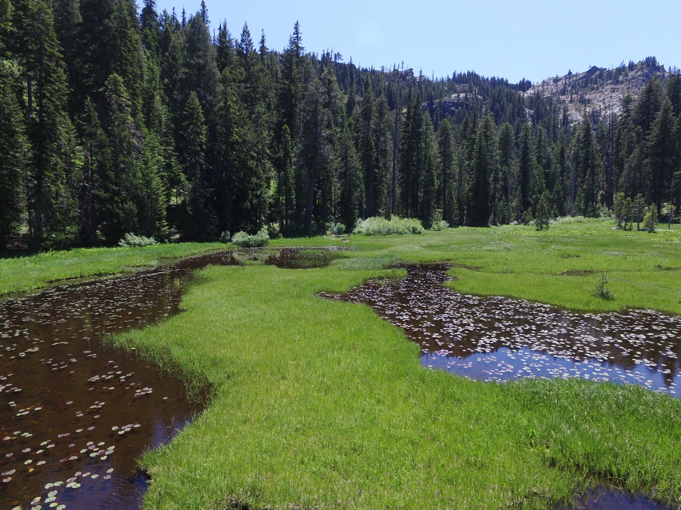 Frog Pond Trail, Oregon Drone Recovery