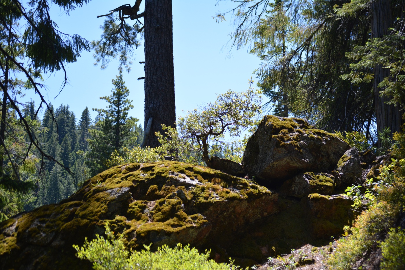 Frog Pond Trail, Oregon Drone Recovery