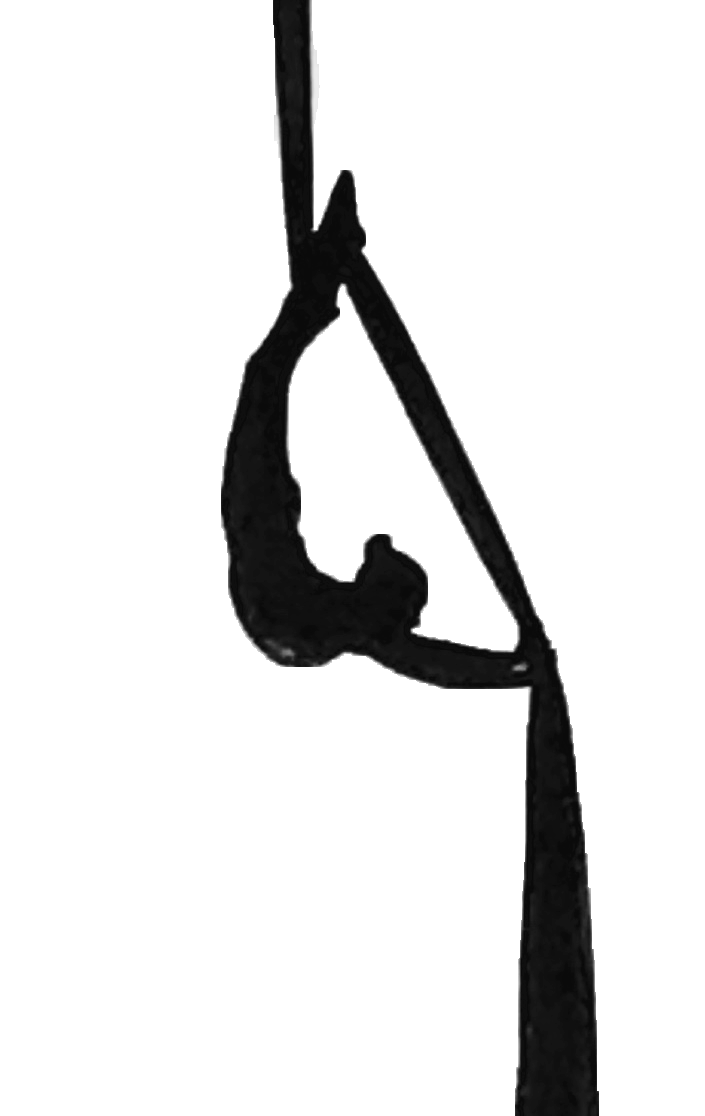 Studio E Dance & Aerial Arts